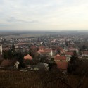 Villány_33
